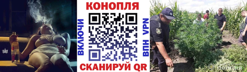 Как найти закладки Починок Конопля COCAIN ссылка на мегу рабочий сайт Меф мяу мяу Гашиш Alpha PVP