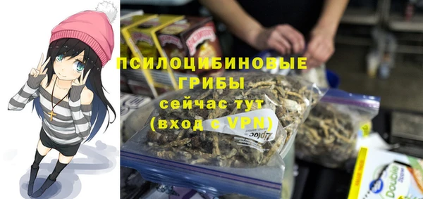 mix Новозыбков